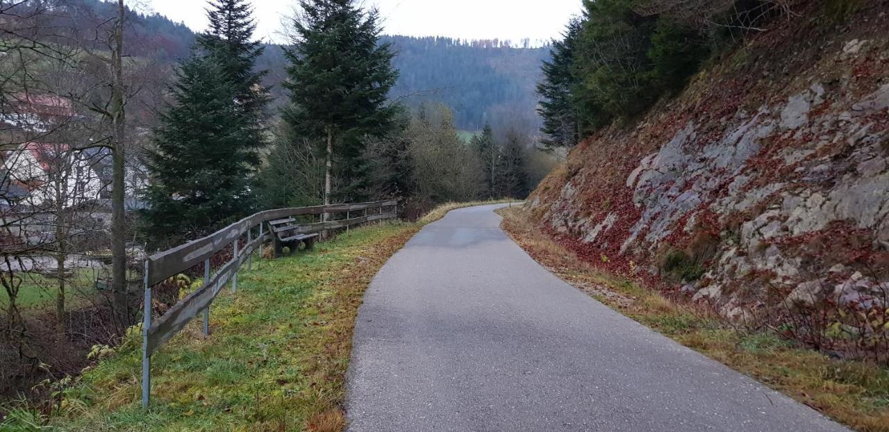 Ferienwohnung "Hirschlein" Im Schwarzwald Байерсброн Екстериор снимка