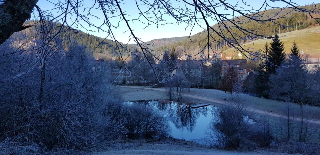 Ferienwohnung "Hirschlein" Im Schwarzwald Байерсброн Екстериор снимка