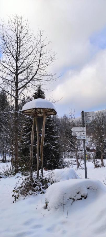 Ferienwohnung "Hirschlein" Im Schwarzwald Байерсброн Екстериор снимка