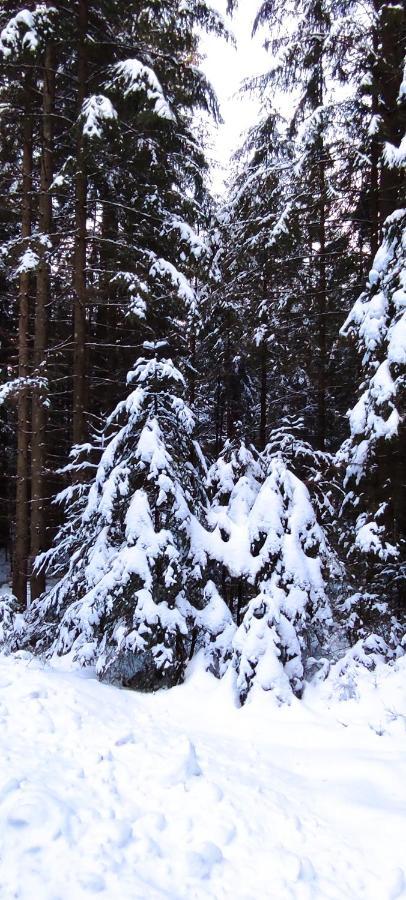 Ferienwohnung "Hirschlein" Im Schwarzwald Байерсброн Екстериор снимка