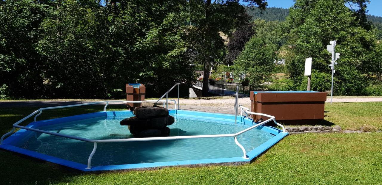 Ferienwohnung "Hirschlein" Im Schwarzwald Байерсброн Екстериор снимка