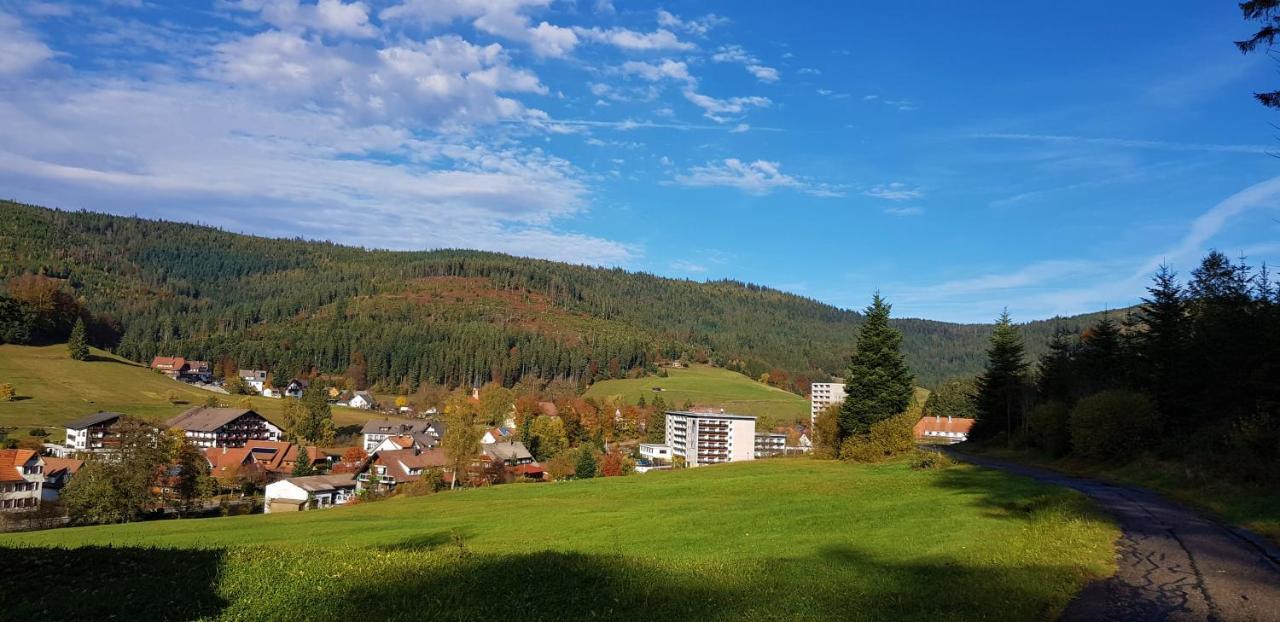 Ferienwohnung "Hirschlein" Im Schwarzwald Байерсброн Екстериор снимка