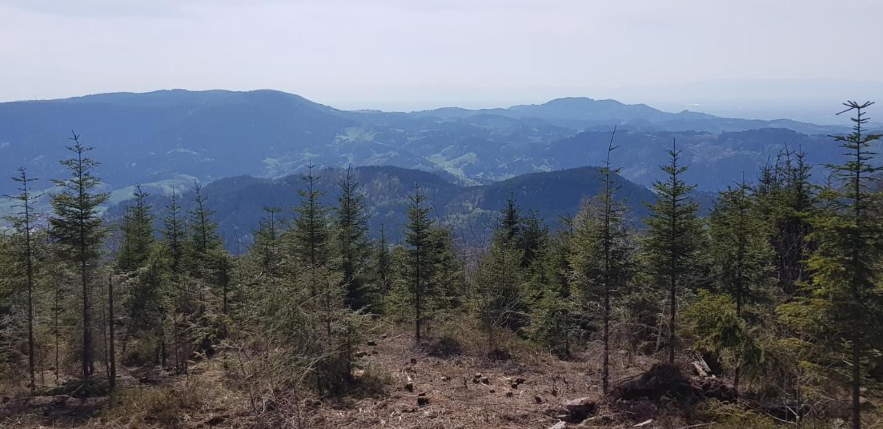 Ferienwohnung "Hirschlein" Im Schwarzwald Байерсброн Екстериор снимка