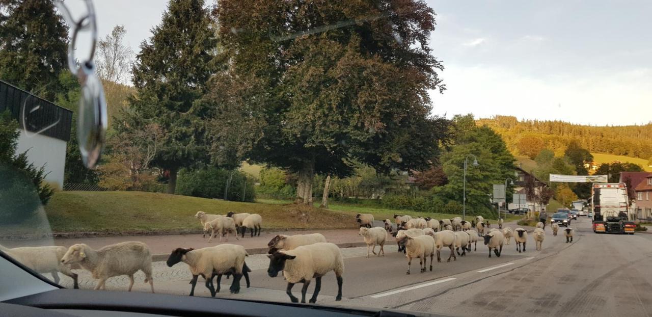 Ferienwohnung "Hirschlein" Im Schwarzwald Байерсброн Екстериор снимка